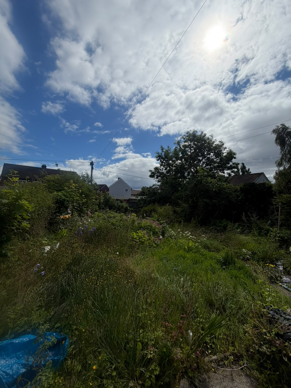 Full back garden clearance, Highlands, before